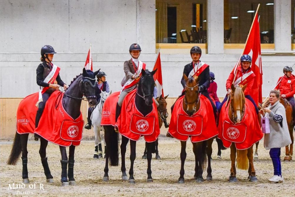 Zurich Working Equitation Masters