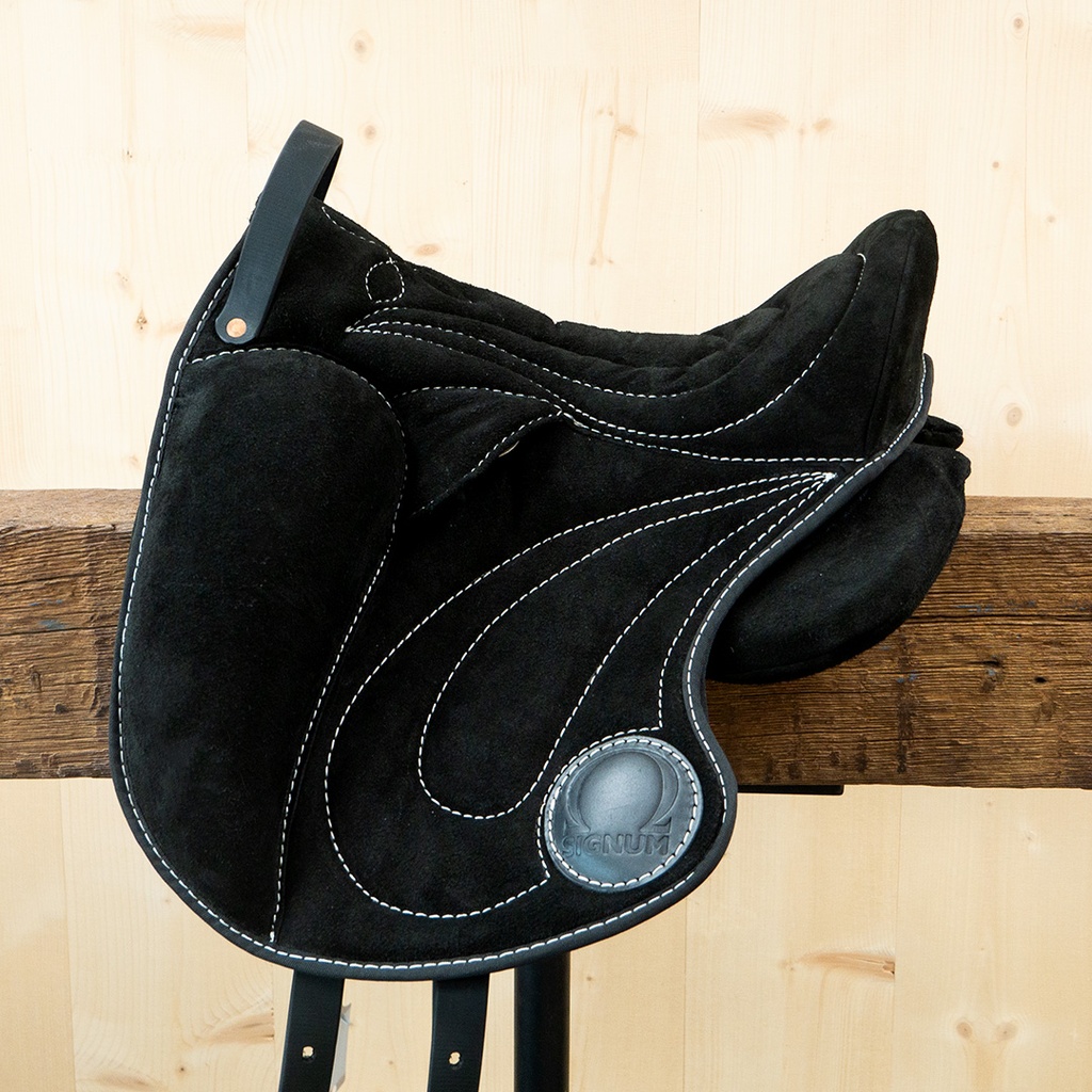 Bundle Paddly + Klettkissen