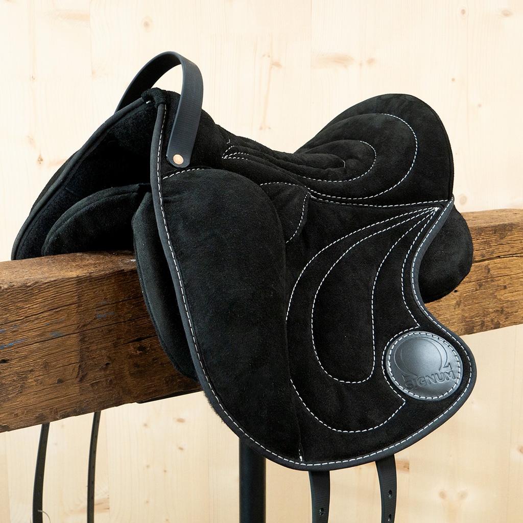 Bundle Paddly + Klettkissen