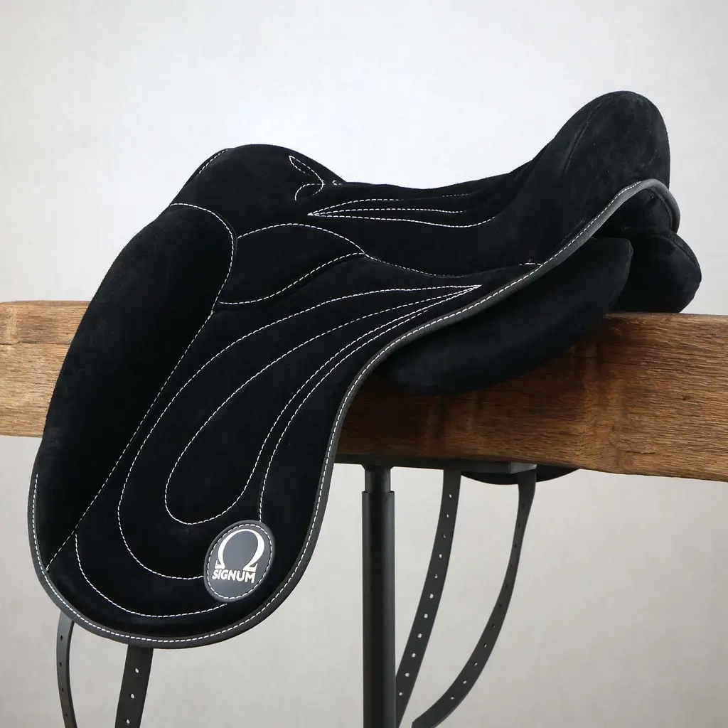 Signum PADDLE® (1).webp