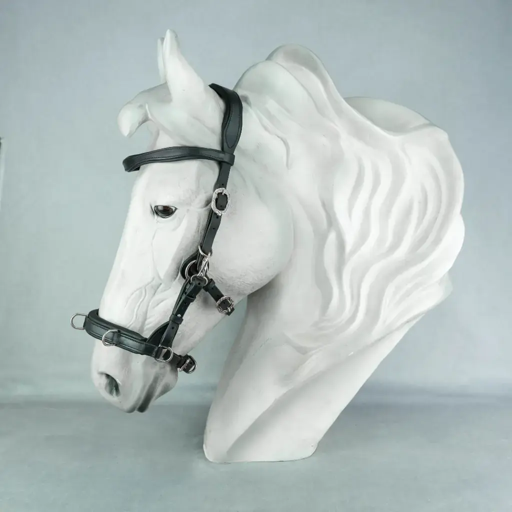 [120.10226] Kappzaum Flexi-Iron Limited Edition (Schwarz, Silber, S (Pony)).webp