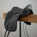 Signum Dressurpaddle® inkl. Klettkissen (1).webp