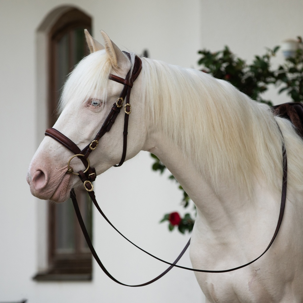 Soft Zaum Conde mit Lederzügeln