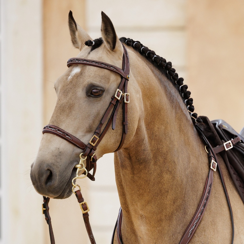 Kenzie Dysli Show Zaum Calada mit Lederzügeln