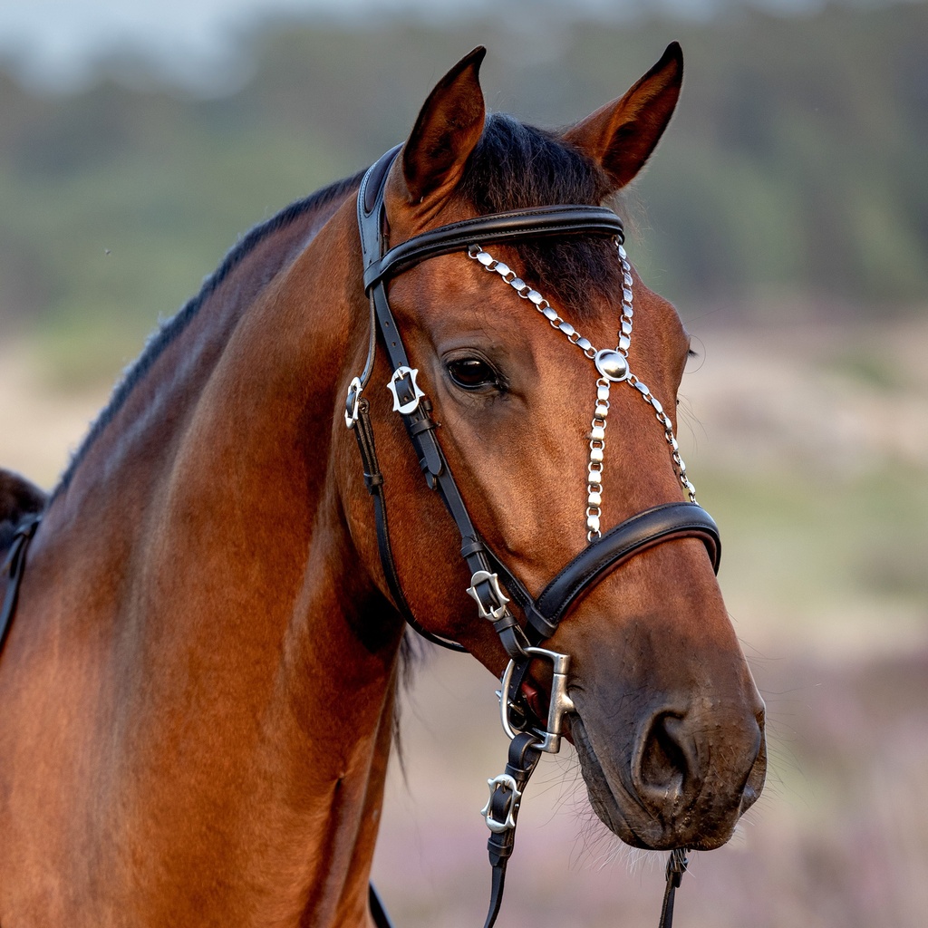 Working Equitation Offizierszaum Deluxe