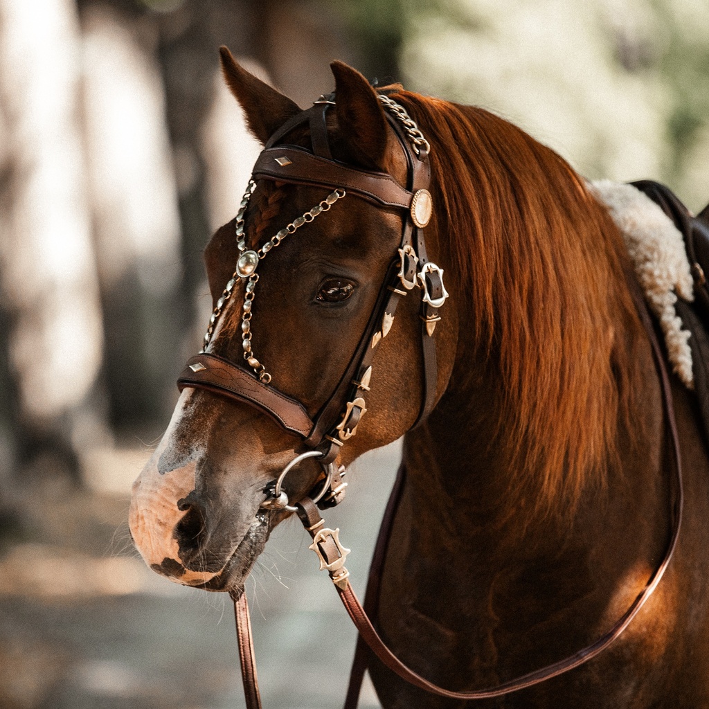 Working Equitation Offizierszaum Original