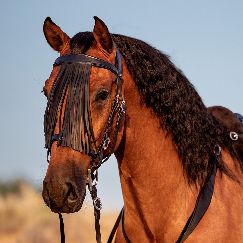 Spanischer Stirnriemen mit Lederfransen