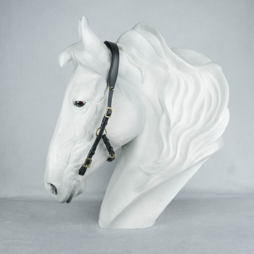 Semizaum Deluxe Campo