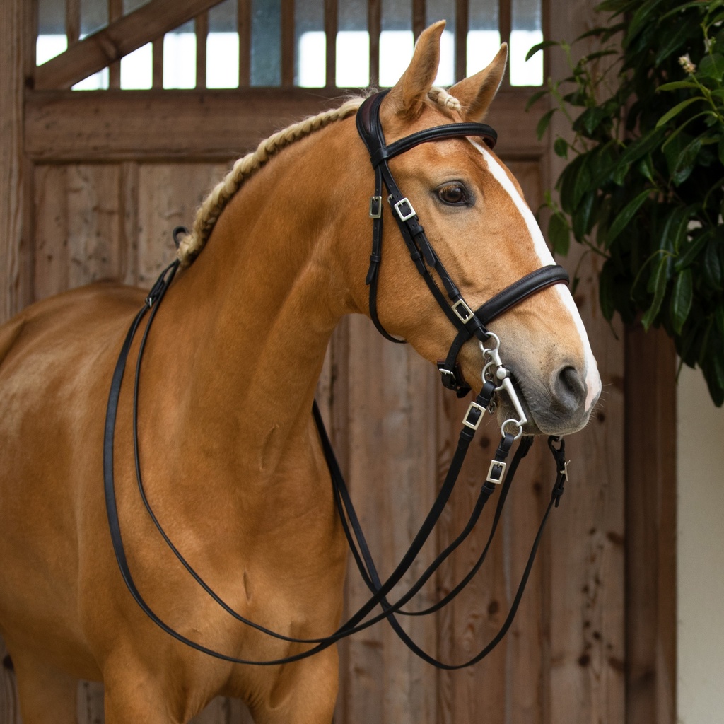Soft Zaum Campo mit Lederzügeln 
