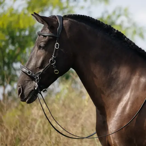 Kappzaum Flexi-Iron Limited Edition