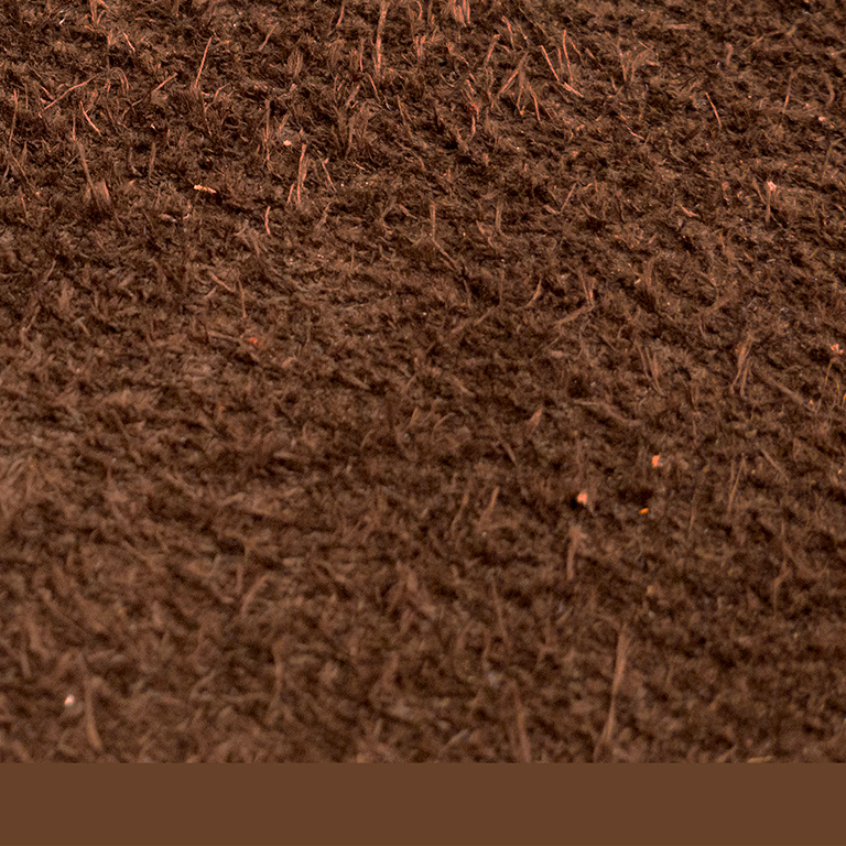 Farbe Paddle: Schoko