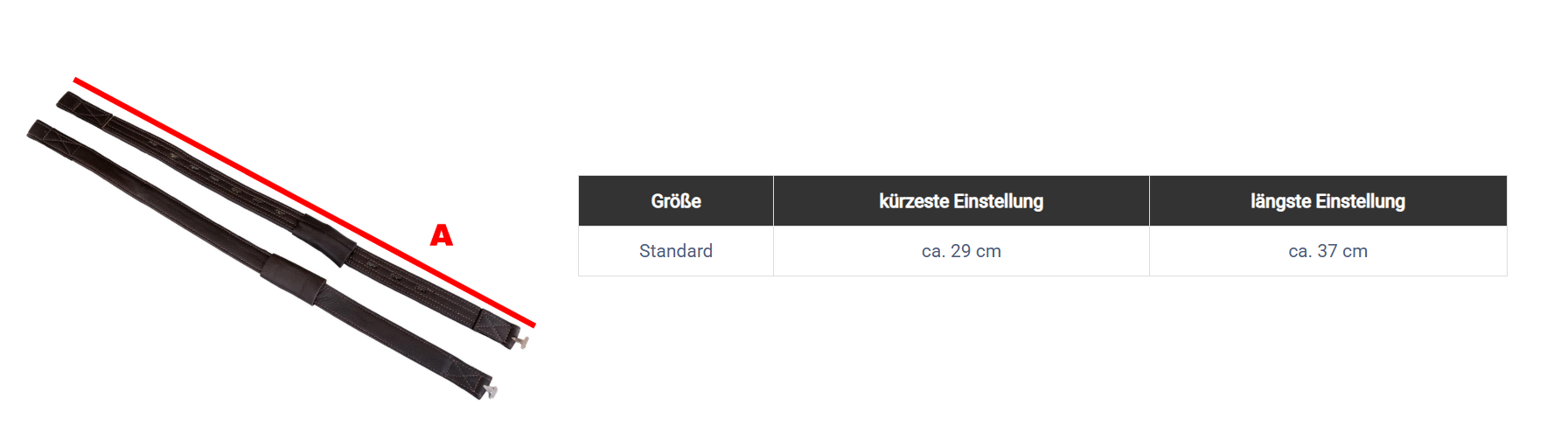 Maßbild